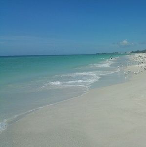 Meet your Posher, Chelsey